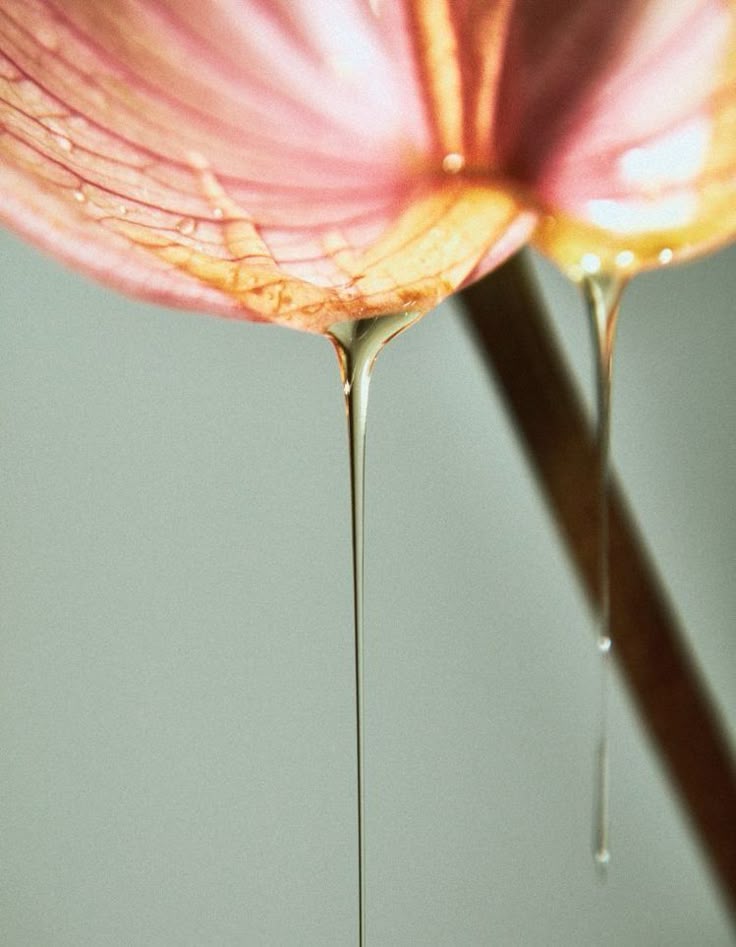 Living Like a Kapha: Embracing Movement and Lightness for Energy and Vitality