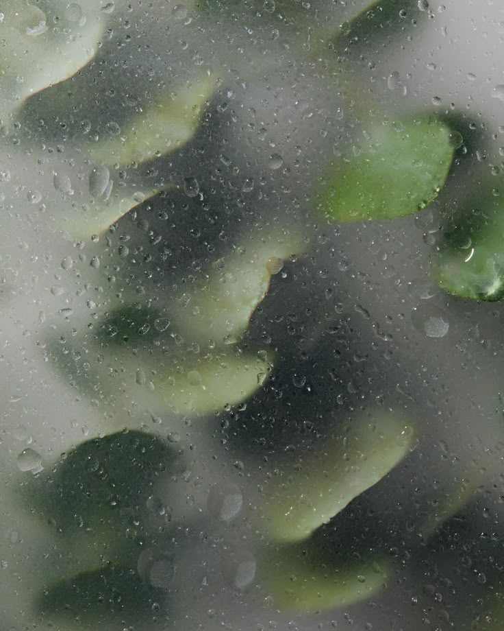 The Narcissus Note: Why Your Shower Can Be a Scent Ritual